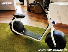 SW Scrooser V1.1 Lifestyle E-Roller Scooter