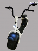 SW Scrooser V1.1 Lifestyle E-Roller Scooter