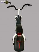 SW Scrooser V1.1 Lifestyle E-Roller Scooter