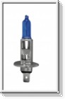 H1POR Xenon-Look Lampe fr 12 V/ 100 W (2 Stk.)
