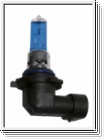 HB4 Xenon-Look Lampe mit 12 V/ 55 W (2 Stk.)